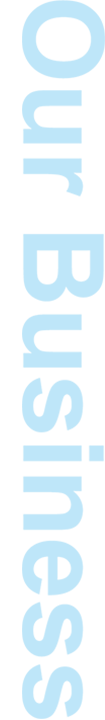 Our Business