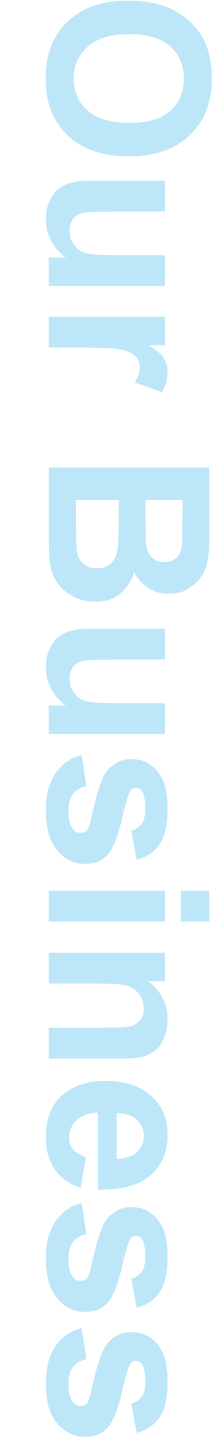 Our Business
